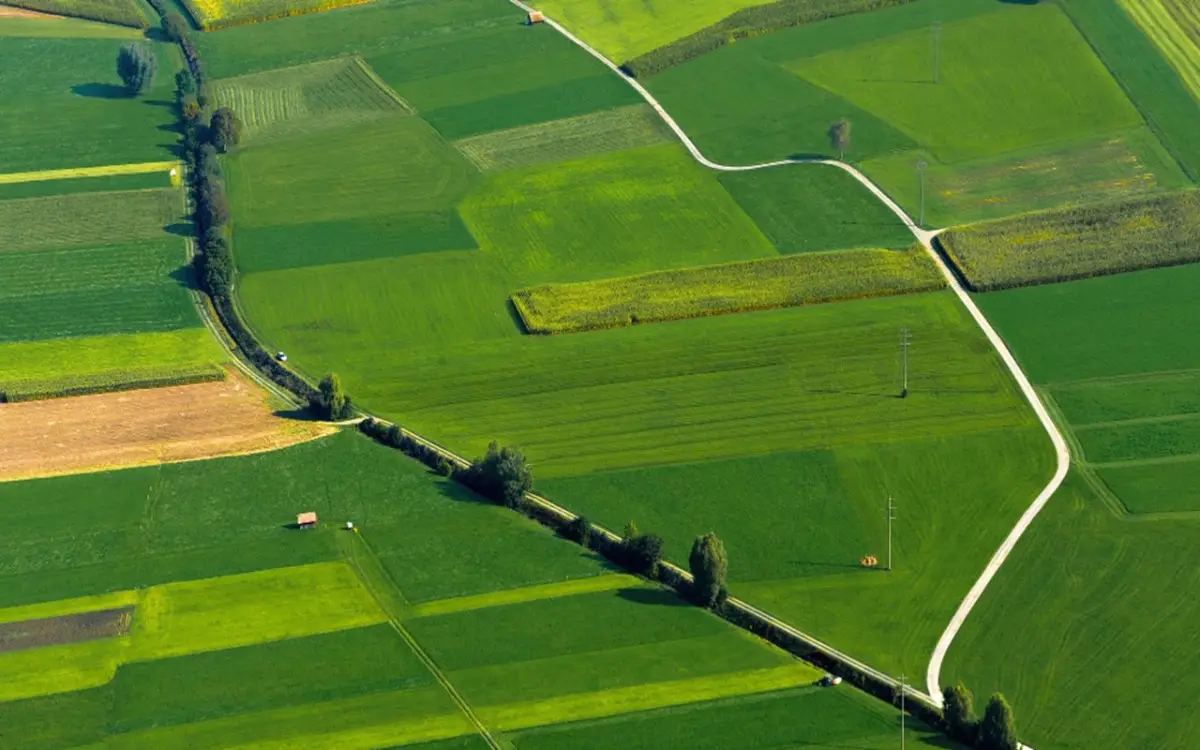 Terreno agricolo inutilizzato? Scopri la nuova strategia Coldiretti per trasformarlo in una rendita stabile Terreno agricolo inutilizzato? Scopri la nuova strategia Coldiretti per trasformarlo in una rendita stabile