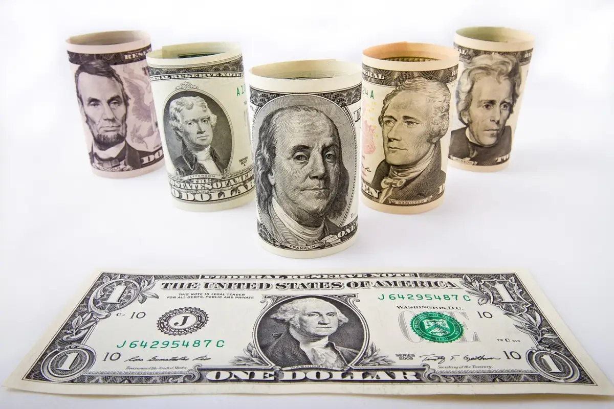 Hai trovato una banconota da 5 dollari? Ecco i dettagli che la rendono preziosa secondo la Federazione Numismatica Hai trovato una banconota da 5 dollari? Ecco i dettagli che la rendono preziosa secondo la Federazione Numismatica