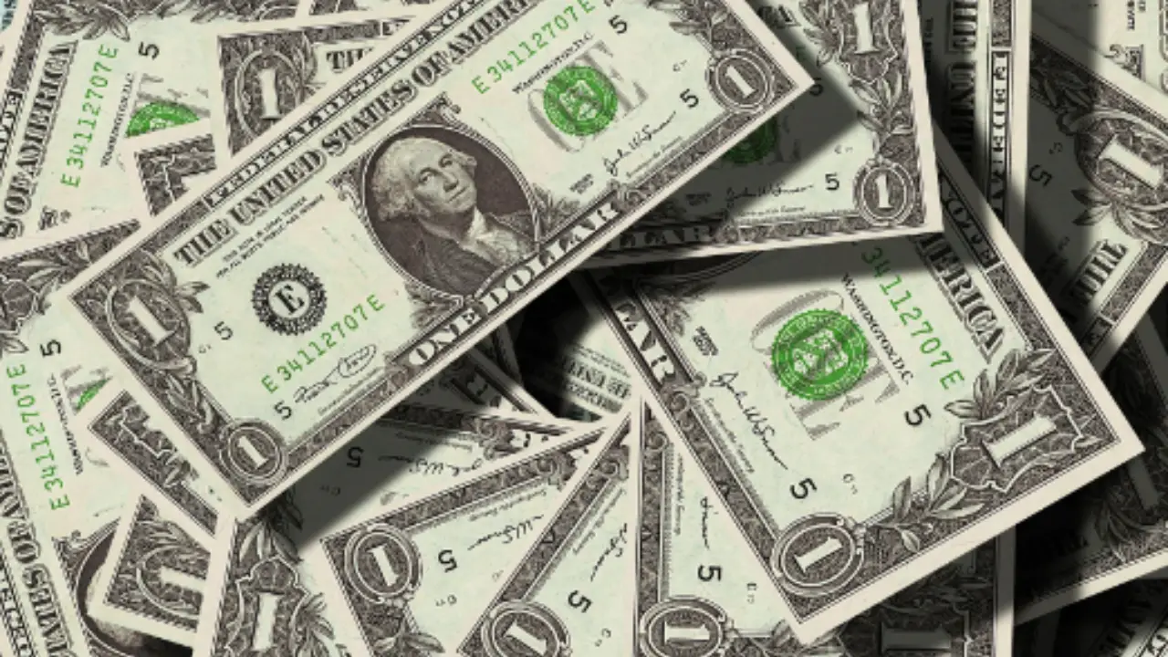 Hai trovato una banconota da 5 dollari? Ecco i dettagli che la rendono preziosa secondo la Federazione Numismatica Hai trovato una banconota da 5 dollari? Ecco i dettagli che la rendono preziosa secondo la Federazione Numismatica