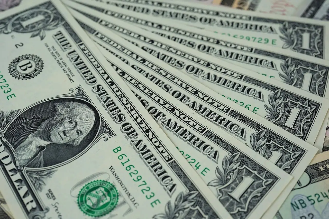 Come riconoscere una banconota rara da 5 dollari: i dettagli che fanno la differenza secondo i collezionisti Come riconoscere una banconota rara da 5 dollari: i dettagli che fanno la differenza secondo i collezionisti