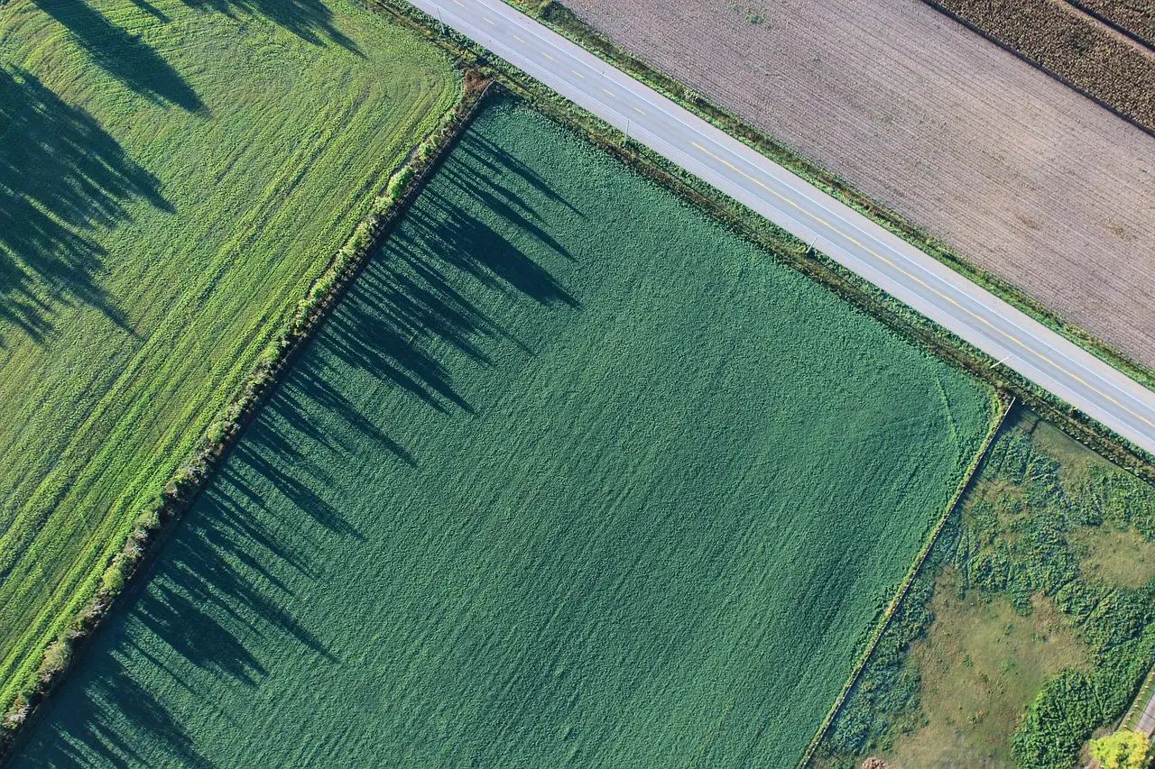 Terreno agricolo inutilizzato? La nuova strategia per trasformarlo subito in una rendita stabile Terreno agricolo inutilizzato? La nuova strategia per trasformarlo subito in una rendita stabile